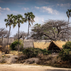 mwagusi safari lodge